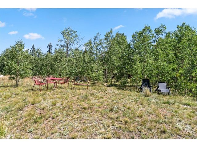 228 Glacier Ridge Rd, Alma, CO 80420
