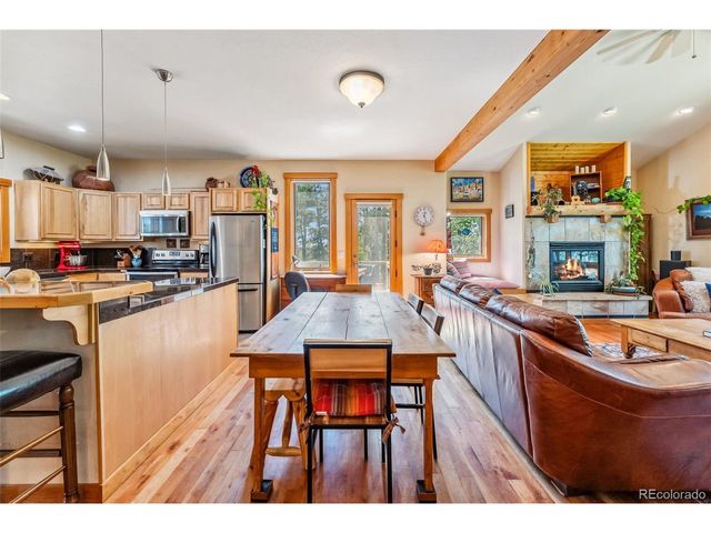 228 Glacier Ridge Rd, Alma, CO 80420