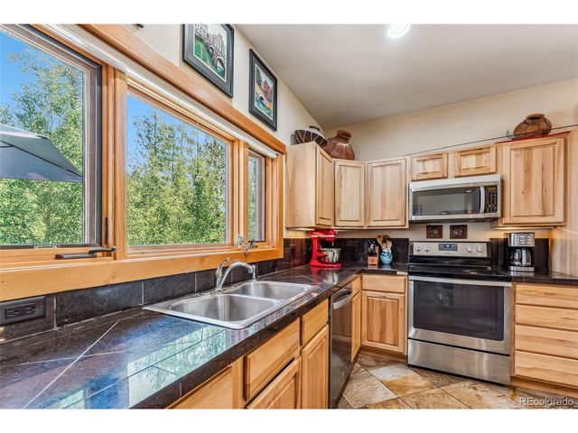 228 Glacier Ridge Rd, Alma, CO 80420