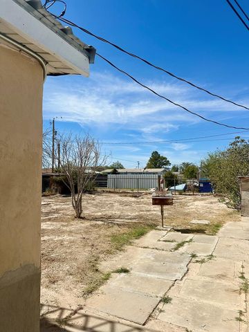 1007 N Park St, Fort Stockton, TX 79735