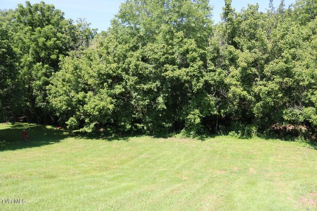 4115 Afton Road, Afton, TN 37616
