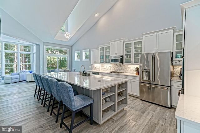 22097 S PRESERVATION DR, Millsboro, DE 19966