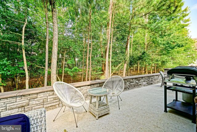 22097 S PRESERVATION DR, Millsboro, DE 19966