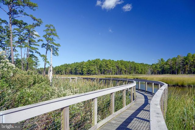 22097 S PRESERVATION DR, Millsboro, DE 19966