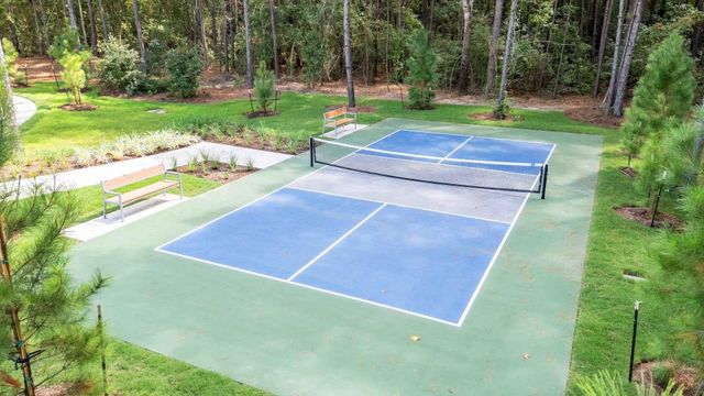 25231 Leather Leaf Court, Montgomery, TX 77316