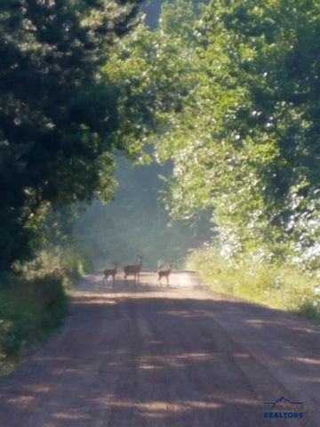 20076 HIGGINS GULCH RD, Spearfish, SD 57783