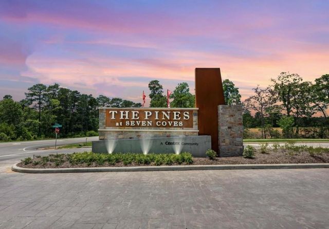 10654 Willet Way, Willis, TX 77378