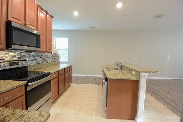 20028 SATIN LEAF AVENUE, Tampa, FL 33647