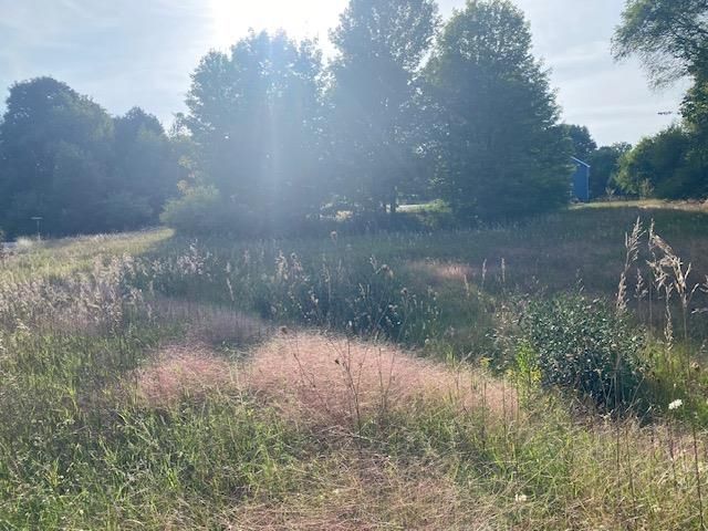 0 Morning Glory Lane, Garfield Twp, MI 49684