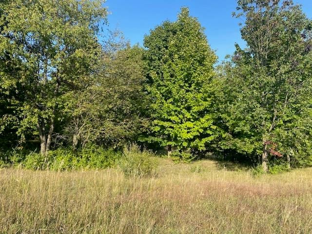 0 Morning Glory Lane, Garfield Twp, MI 49684