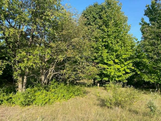 0 Morning Glory Lane, Garfield Twp, MI 49684