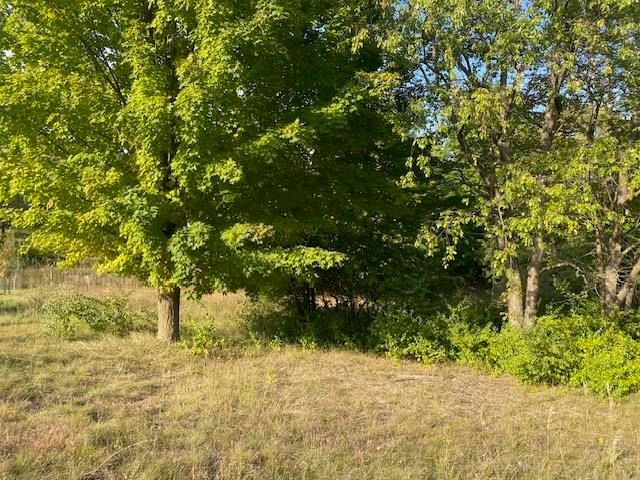 0 Morning Glory Lane, Garfield Twp, MI 49684