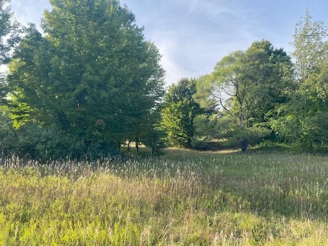 0 Morning Glory Lane, Garfield Twp, MI 49684