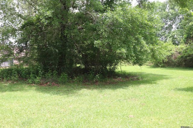 22336 Sutter Ln, Zachary, LA 70791