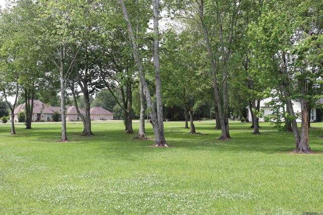 22336 Sutter Ln, Zachary, LA 70791