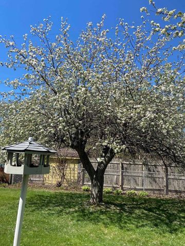 110 Schenk Street, Madison, WI 53704