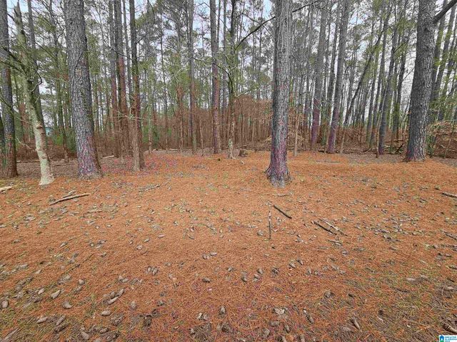 2176 OLD HAYDEN ROAD, Warrior, AL 35180