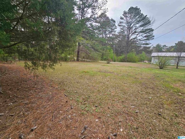 2176 OLD HAYDEN ROAD, Warrior, AL 35180