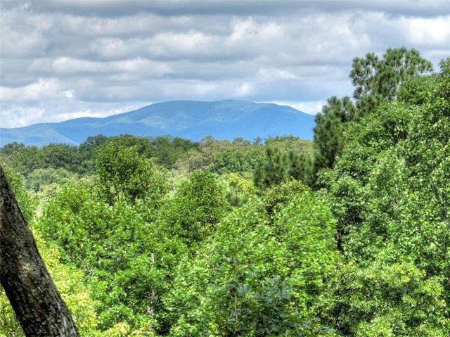 88 Wagon Tracks Ridge, Mineral Bluff, GA 30559