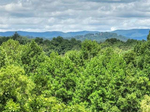 88 Wagon Tracks Ridge, Mineral Bluff, GA 30559