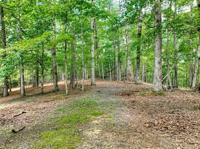 88 Wagon Tracks Ridge, Mineral Bluff, GA 30559