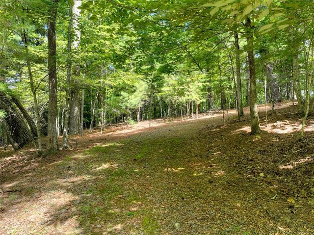 88 Wagon Tracks Ridge, Mineral Bluff, GA 30559