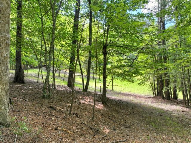 88 Wagon Tracks Ridge, Mineral Bluff, GA 30559