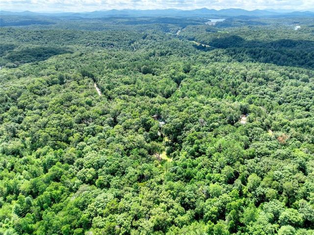 88 Wagon Tracks Ridge, Mineral Bluff, GA 30559