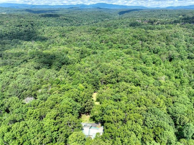 88 Wagon Tracks Ridge, Mineral Bluff, GA 30559