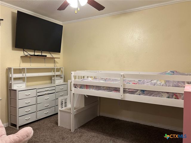 4206 Shagbark Drive, Killeen, TX 76542