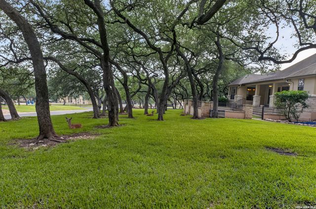 22025 PASEO CORTO DR, San Antonio, TX 78266