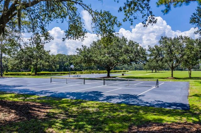 6012 HAMMOCK HILL AVENUE, Lithia, FL 33547