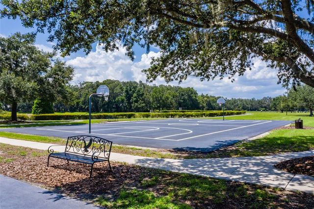 6012 HAMMOCK HILL AVENUE, Lithia, FL 33547
