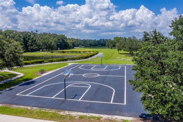 6012 HAMMOCK HILL AVENUE, Lithia, FL 33547