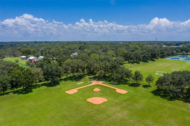 6012 HAMMOCK HILL AVENUE, Lithia, FL 33547