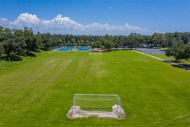 6012 HAMMOCK HILL AVENUE, Lithia, FL 33547