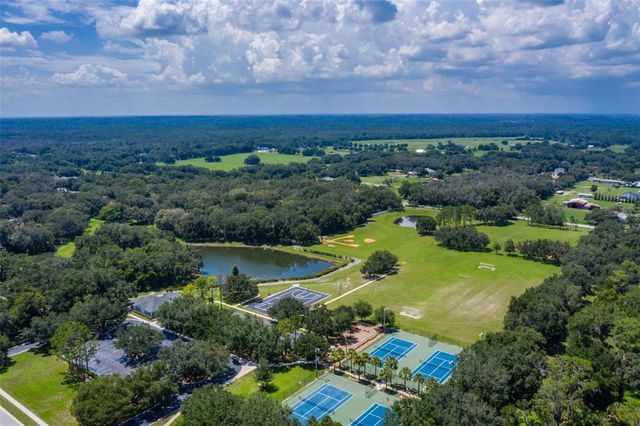 6012 HAMMOCK HILL AVENUE, Lithia, FL 33547