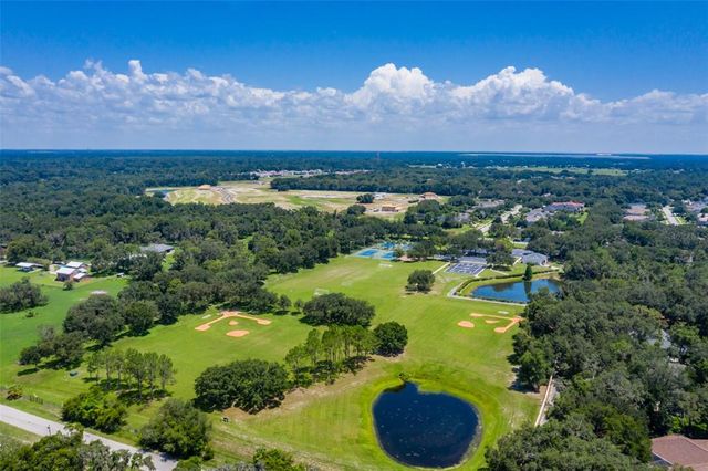 6012 HAMMOCK HILL AVENUE, Lithia, FL 33547