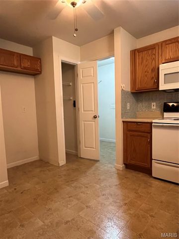 591 Creekwood Boulevard, Troy, MO 63379