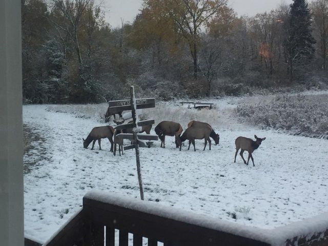 75500 JOE REIN ROAD, Glidden, WI 54527