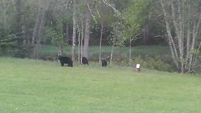 75500 JOE REIN ROAD, Glidden, WI 54527