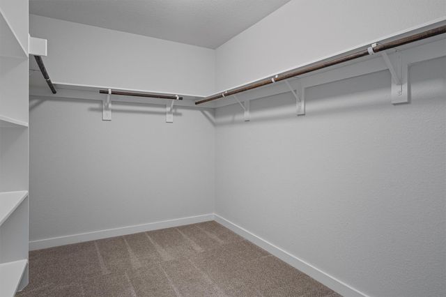 13508 Ciderwood CT, Manor, TX 78653