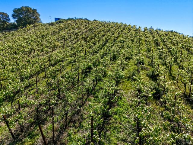 8435 W Highway 175 Hwy, Hopland, CA 95449