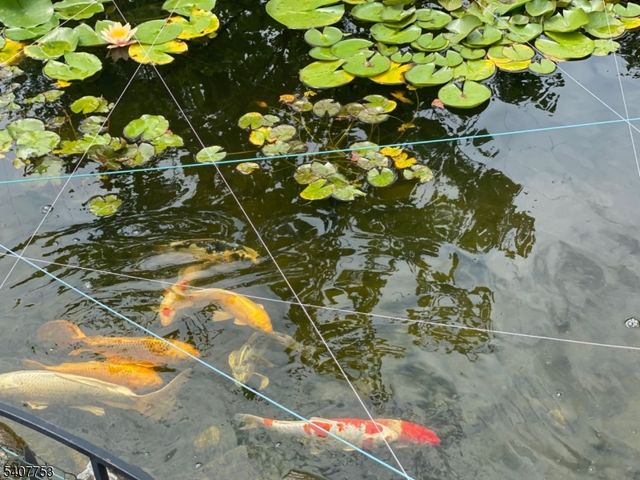 57 Briarwood Dr, Warren Twp., NJ 07059