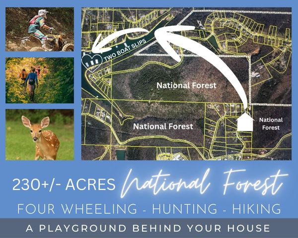 175 Canyon Forest Circle, Kimberling City, MO 65686