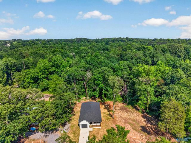 500 Old Union Road, Grant, AL 35747