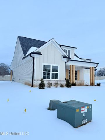 7160 Hickory Grove Road, Walls, MS 38680