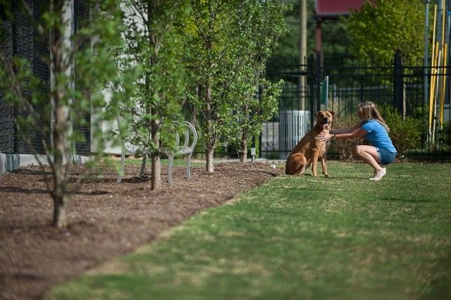 1212 Laurel St Apt 1713, Nashville, TN 37203