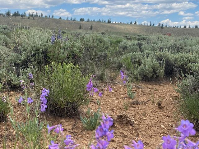 Decagon Loop, Parcel 12, Twin Lakes, CO 81251