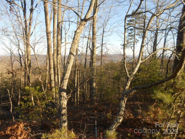 0000 Arbra Mountain Way 54, Bostic, NC 28018